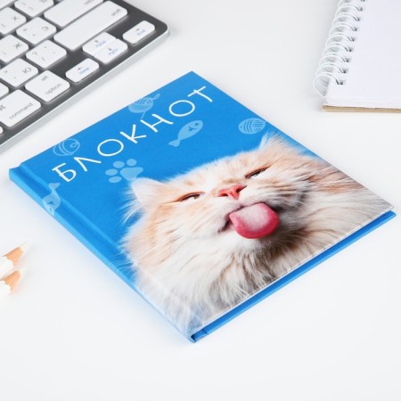 Notepad A6 in a solid cover, 40 sheets "cat"-3