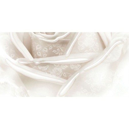Ceramic insert 25x50cm Tenderness 10-05-11-350-2