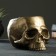 Kashpo - Organizer "Skull" Bronze, 0.2 l/19x14x12cm