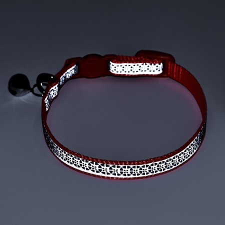 A collar with a decorative reflective strip, imitation of nylon, 30 x 1 cm, orange-6