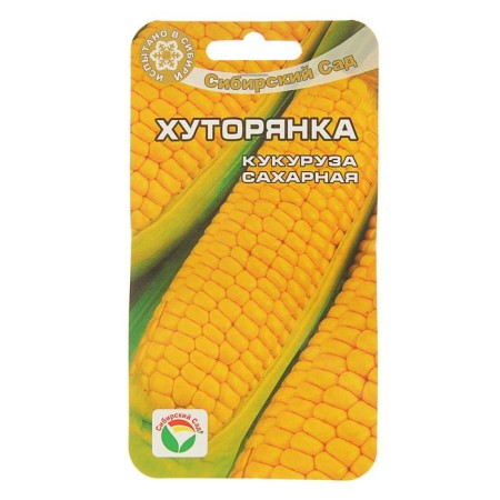 Sugar corn "Khutorinka", 6 pcs.