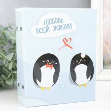 Photo album in 100 photos 13x18 cm 