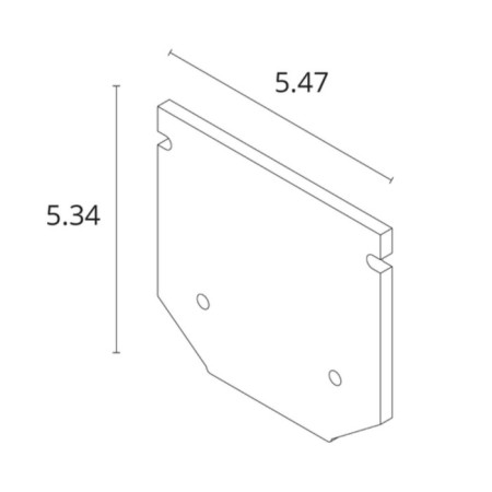 The plug for the profile is Arte Lamp Expert-Ccessories A6410050.3x200x5.34 cm-1