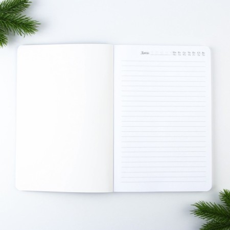 New Year. Diary Soft cover Software Tach, 24 x16.5 cm, 80 sheets "Winter Tale"-1