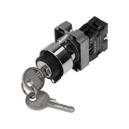 BD21 2P switch with NO lock-1