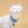 Koshachi collar "Snowflake", with a bell and suspension, 30 x 1 cm, polyester, blue