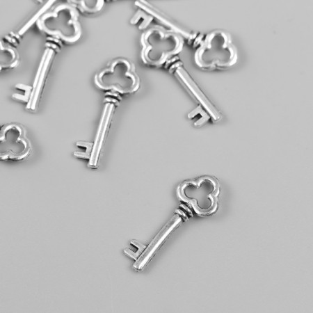Suspension "Keys" 0.9x2.2 cm-1