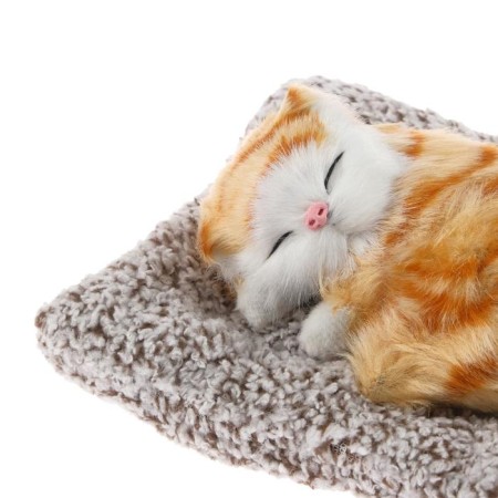 A toy on a car panel, a cat on a pillow, a white-red color-2