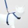 The kit for cats is reflective, width 1 cm, harness 21-35 cm, leash 120 cm, blue