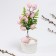 Easter decor "Eggs on a branch" pink color, 5 × 11 × 30 cm