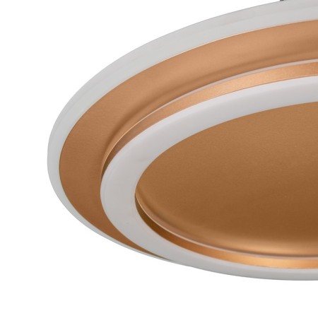 Luer with PDD "Ringo" 2XLED 112W 3000-6000K gold 50x50x5 cm BayerLux-6