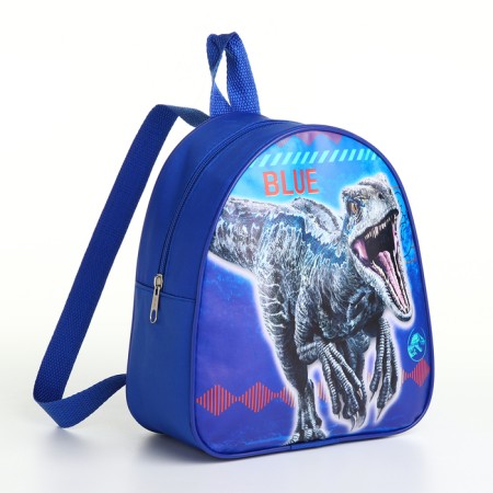Children's backpack on a zipper, "chosen", blue color