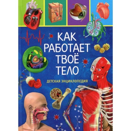 How your body works