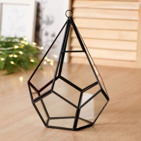 Florarium frame "Cawncer" 21x14 cm, black-1
