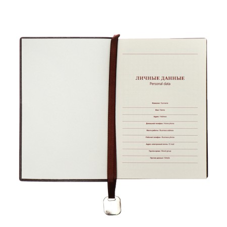 Organizer, A6, 116 sheets, cage, leatherette cover, brown cut, blue-5