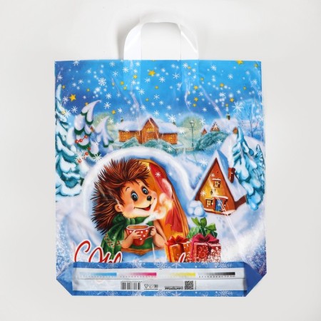 Package "Frosty Morning", polyethylene with a loop pen, 38x42 cm, 40 μm-1