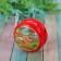 Yo-yo "sea inhabitants", light, mix color, in showbox