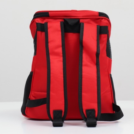 A backpack for carrying animals, 31.5 x 25 x 33 cm, red-3