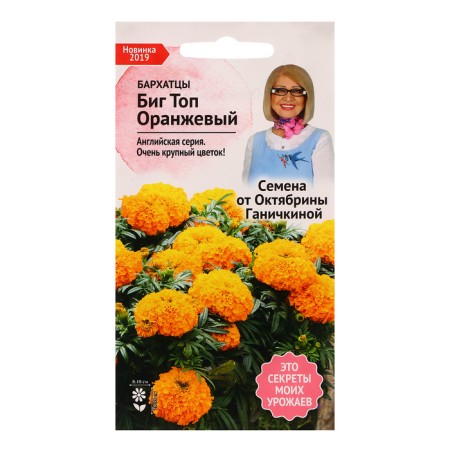 Flower seeds velvet "Big top orange", 10 pcs