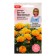 Flower seeds velvet "Big top orange", 10 pcs