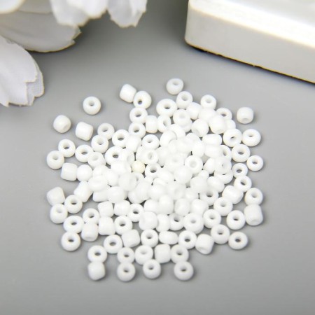 Beads "Zlatka" 08/0 10 gr 0041 white-1