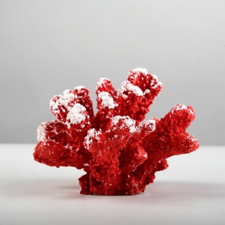 Interior souvenir "Coral" 13x11x8cm mix-1
