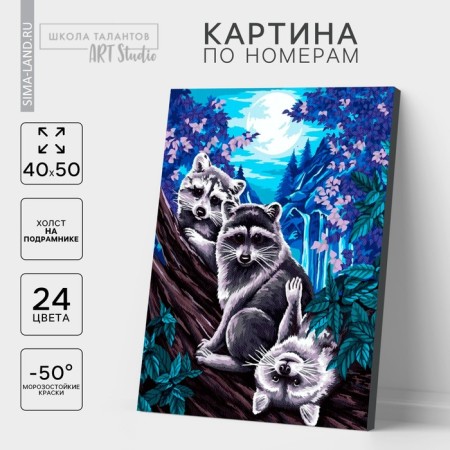 Picture on numbers on a canvas with a subframe "Raccoon under the moon", 40 x 50 cm