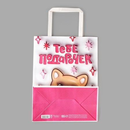 Gift package "Gift", 20 × 11 × 27.7 cm-3