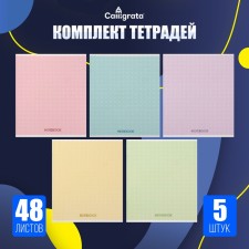 A set of notebooks of 5 pieces, 48 ​​sheets in the Calligrata cage 