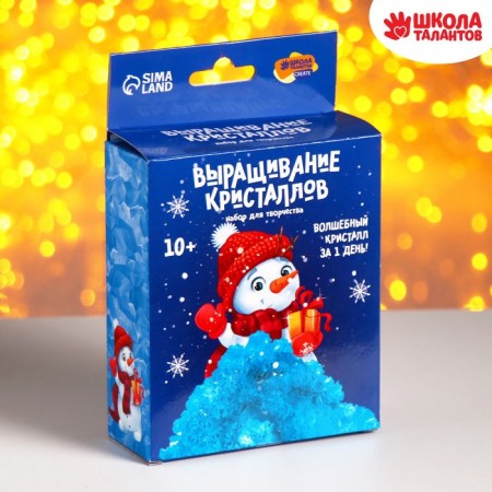 New Year's set for creativity. Growing crystals “New Year! Snowman ", Blue color-1