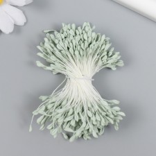 Stamens for flowers 