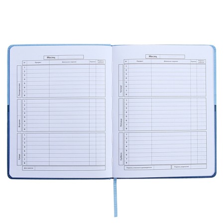 Universal Diary Grade 1-11, 48 sheets "Blue", a solid cover made of artificial leather, pancake embossing, Lasasse-8