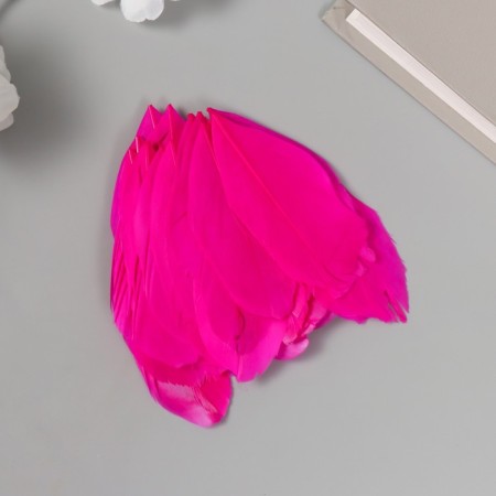 Decorative goose “fuchsia” pen in the shape of a sheet set 40 pcs h = 5-7 cm