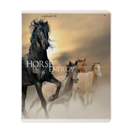 Notebook of 48 sheets in the “horses” cage, cover coated cardboard, UV-lak, block 60 g/m2, mix-1