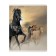 Notebook of 48 sheets in the “horses” cage, cover coated cardboard, UV-lak, block 60 g/m2, mix