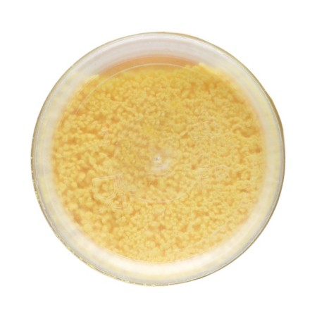 Biological repelling of ants, a tube, 250 g-3