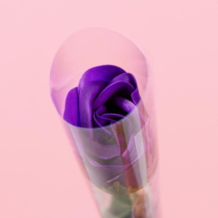 Soap rose, purple-1