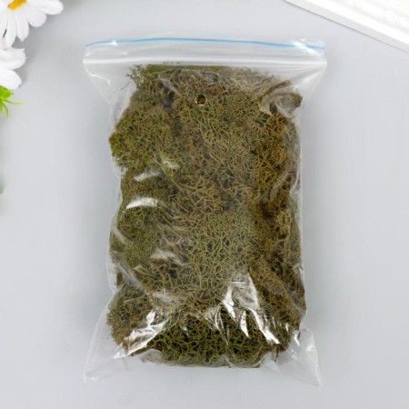 Moss stabilized "nettle" 45 grams (+-5 gr)-2
