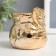 Ceramics candlestick for 1 candle "Council with chamomile" gold 7x7x6.5 cm