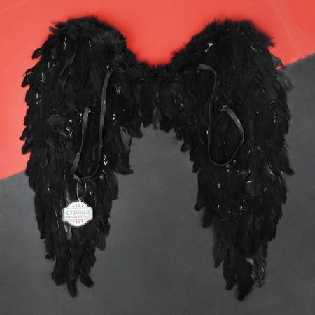 Angel wings, 60 × 57 cm, black color-1