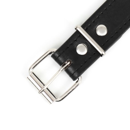 Collar "Sirius", leatherette with rivets, 56 x 3 cm, Osh 42-52, black-4