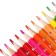 Pencils 12 pieces/24 colors, in a cardboard box, hexagonal, wooden, shark