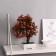 Bonsai in the pot "Charm" 10x22 cm, mix