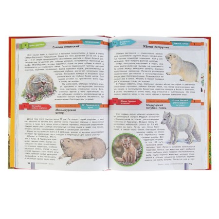 Красная книга России. Пескова И.М., Дмитриева Т.Н., Смирнова С.В.-2