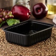 Container Plastic disposable 