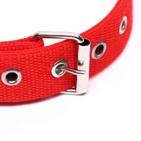 Two -layer collar with a swivel, 55 x 2.5 cm, polyester, red-2