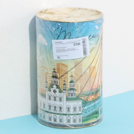 Pig a case XXL "Tyumen", 20 x 12.5 cm-5