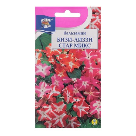Flower seeds Balzamin mixture "Bisi-Lizzy Star", 5 pcs