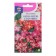 Flower seeds Balzamin mixture "Bisi-Lizzy Star", 5 pcs