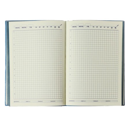 The diary is undathed, PVC cover, A5 format, 140 sheets in a cage, tinted cut, mix-7
